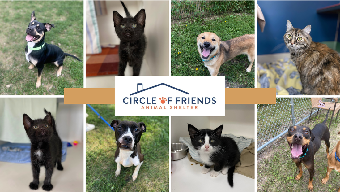 Circle of Friends Animal Shelter, Greater Grand Forks Women's Leadership Cooperative